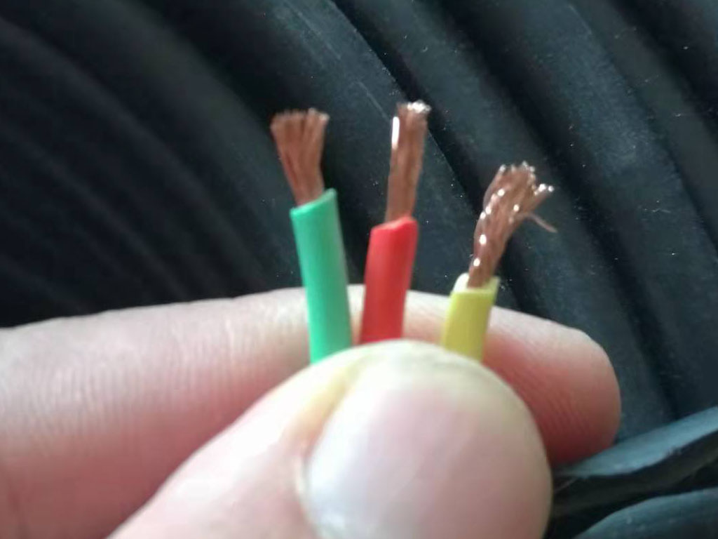 3X1D.jpg